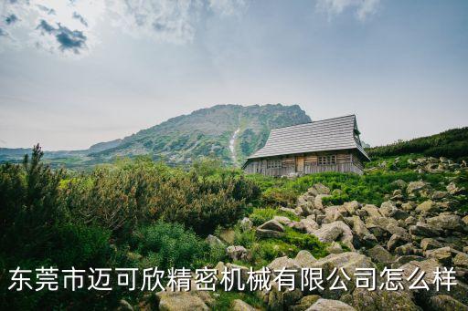 可欣自動(dòng)化設(shè)備,順德區(qū)智可欣自動(dòng)化設(shè)備有限公司怎么樣?