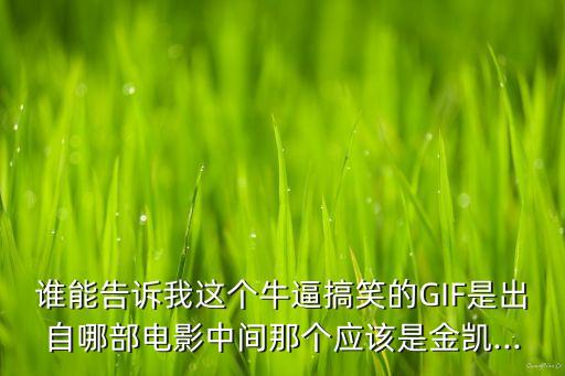 誰能告訴我這個(gè)牛逼搞笑的GIF是出自哪部電影中間那個(gè)應(yīng)該是金凱...