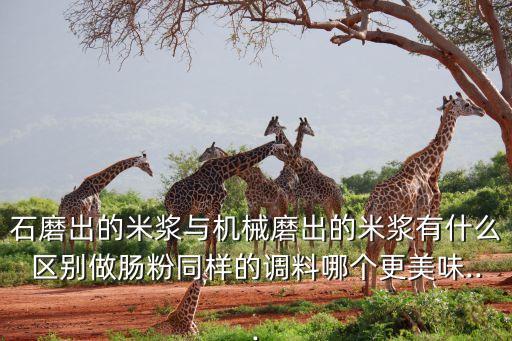 石磨出的米漿與機(jī)械磨出的米漿有什么區(qū)別做腸粉同樣的調(diào)料哪個(gè)更美味...