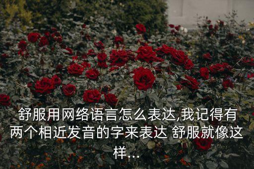  舒服用網(wǎng)絡(luò)語言怎么表達(dá),我記得有兩個(gè)相近發(fā)音的字來表達(dá) 舒服就像這樣...