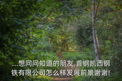 ...想問問知道的朋友,首鋼凱西鋼鐵有限公司怎么樣發(fā)展前景謝謝!
