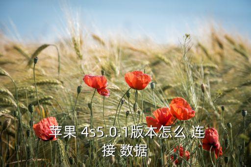  蘋果 4s5.0.1版本怎么 連接 數(shù)據(jù)