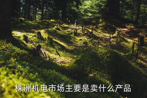 株洲機電市場主要是賣什么產(chǎn)品