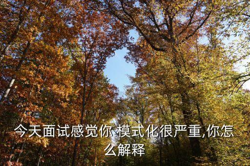 今天面試感覺你 模式化很嚴(yán)重,你怎么解釋