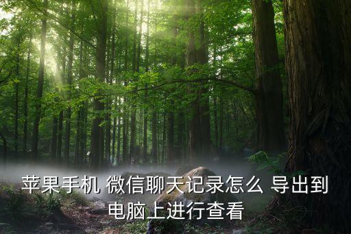 蘋(píng)果手機(jī) 微信聊天記錄怎么 導(dǎo)出到電腦上進(jìn)行查看