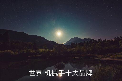 世界 機械手十大品牌