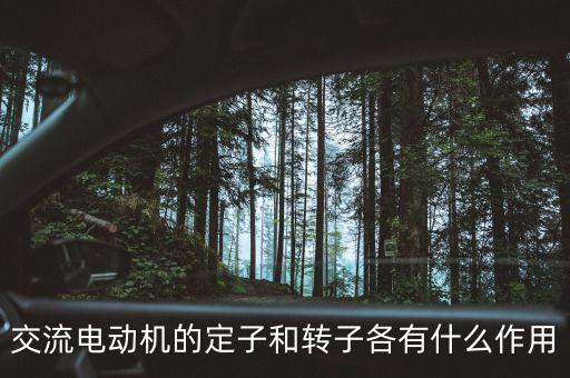 電機(jī)定子和轉(zhuǎn)子,電動機(jī)轉(zhuǎn)子和定子有什么區(qū)別?