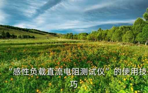成都負(fù)載電阻自動化設(shè)備,成都自動化設(shè)備公司怎么樣好!