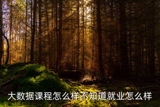 大數(shù)據(jù)訂披薩,披薩大數(shù)據(jù)怎么選