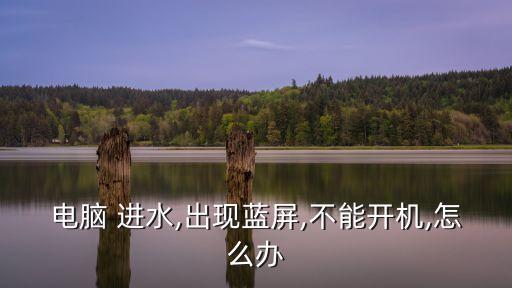 電腦 進水,出現(xiàn)藍屏,不能開機,怎么辦