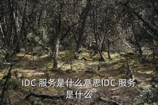 數(shù)據(jù)中心服務(wù)體系圖