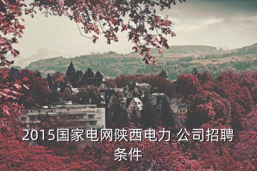 2015國(guó)家電網(wǎng)陜西電力 公司招聘條件