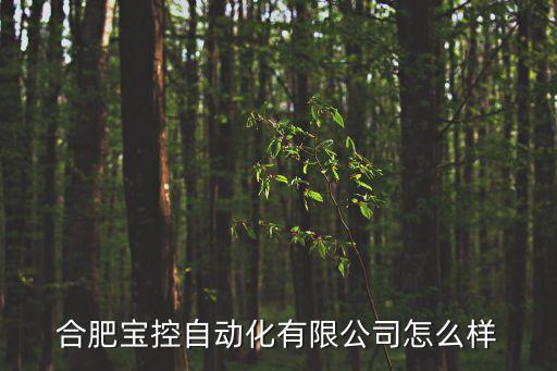 合肥自動化的公司有哪些,合肥寶控自動化有限公司怎么樣?