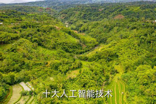 十大人工智能技術(shù)
