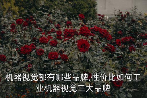 國(guó)揚(yáng)自動(dòng)化科技有限公司,本地哪些無人機(jī)企業(yè)上市了?