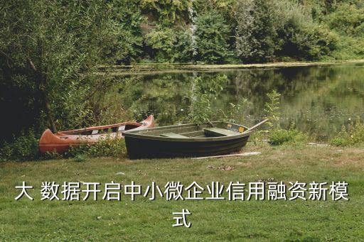 大 數(shù)據(jù)開(kāi)啟中小微企業(yè)信用融資新模式