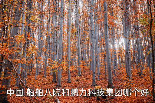 中國 船舶八院和鵬力科技集團哪個好