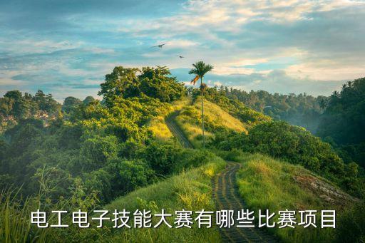 自動化專業(yè)競賽有哪些,計(jì)算機(jī)專業(yè)競賽有哪些?