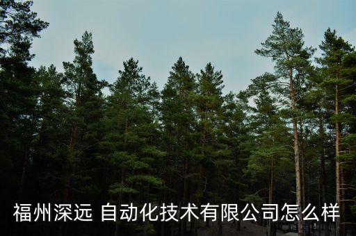 福州深遠(yuǎn) 自動(dòng)化技術(shù)有限公司怎么樣