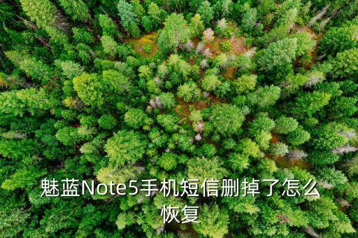  魅藍(lán)Note5手機(jī)短信刪掉了怎么 恢復(fù)