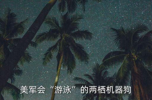 美軍會“游泳”的兩棲機器狗