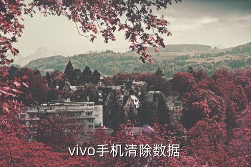 vivo手機清除數(shù)據(jù)