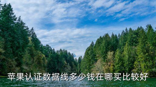杭州蘋(píng)果數(shù)據(jù)線,蘋(píng)果數(shù)據(jù)線哪個(gè)牌子好?