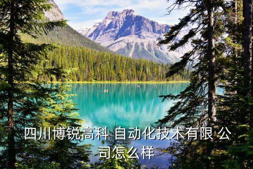 四川最大的自動化公司排名,電氣工程及其自動化專業(yè)四川排名
