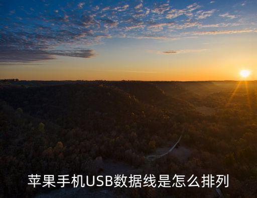 蘋果手機(jī)USB數(shù)據(jù)線是怎么排列