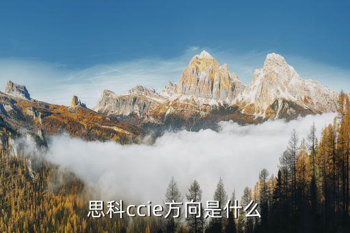 思科ccie方向是什么