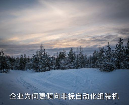 企業(yè)為何更傾向非標(biāo)自動(dòng)化組裝機(jī)