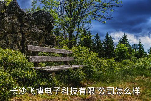 長沙飛博電子科技有限 公司怎么樣