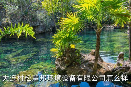 慧邦自動(dòng)化設(shè)備,大連村松慧邦環(huán)境設(shè)備有限公司非常正規(guī)!