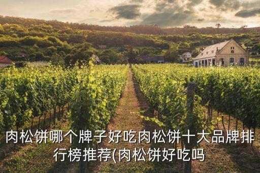 肉松餅?zāi)膫€牌子好吃肉松餅十大品牌排行榜推薦(肉松餅好吃嗎