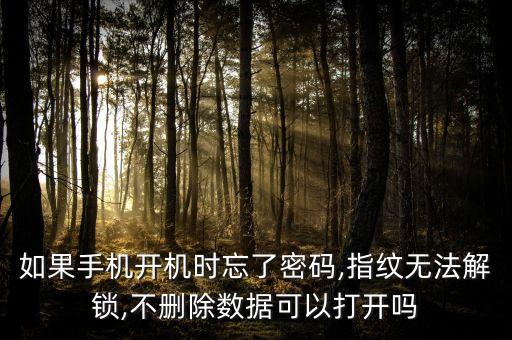 手機(jī)指紋解鎖數(shù)據(jù),手機(jī)指紋解鎖打不開怎么辦?
