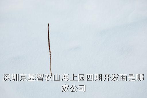 深圳九州大數(shù)據(jù),深圳大數(shù)據(jù)在杭州大江東合作了嗎?