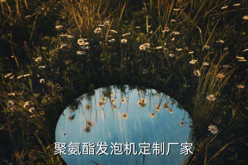 聚氨酯發(fā)泡機(jī)定制廠家