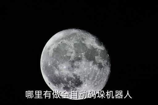 哪里有做全自動(dòng)碼垛機(jī)器人