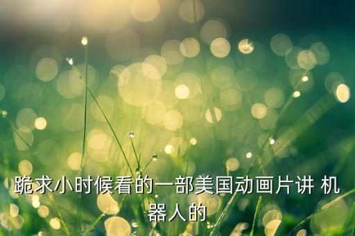 跪求小時(shí)候看的一部美國動(dòng)畫片講 機(jī)器人的