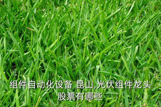 光伏組件自動化設備 昆山,光伏組件龍頭股票有哪些