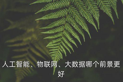 人工智能、物聯(lián)網(wǎng)、大數(shù)據(jù)哪個前景更好