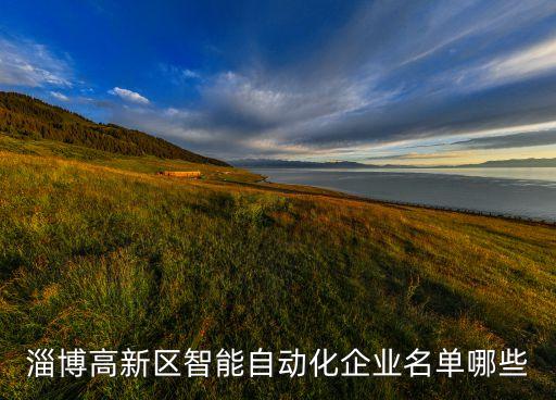 淄博高新區(qū)智能自動(dòng)化企業(yè)名單哪些