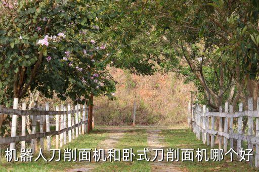 中國(guó)機(jī)器人刀削面,雙臂刀削面機(jī)器人好用嗎?不好吃不負(fù)責(zé)任