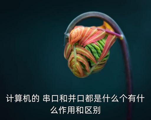 計(jì)算機(jī)的 串口和并口都是什么個(gè)有什么作用和區(qū)別