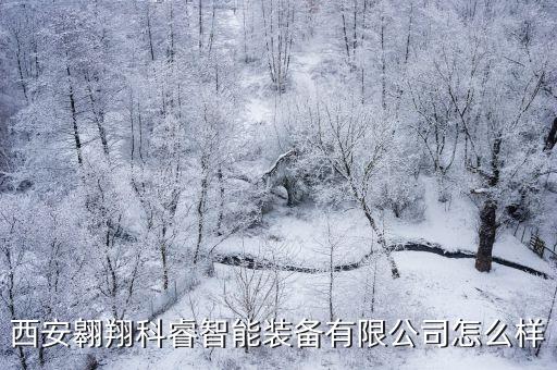 漢南自動化研發(fā)公司地址,中國最好的機器人公司之一