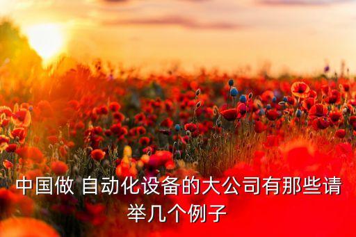 中國做 自動化設(shè)備的大公司有那些請舉幾個例子