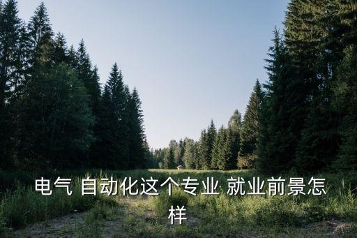  電氣 自動化這個專業(yè) 就業(yè)前景怎樣