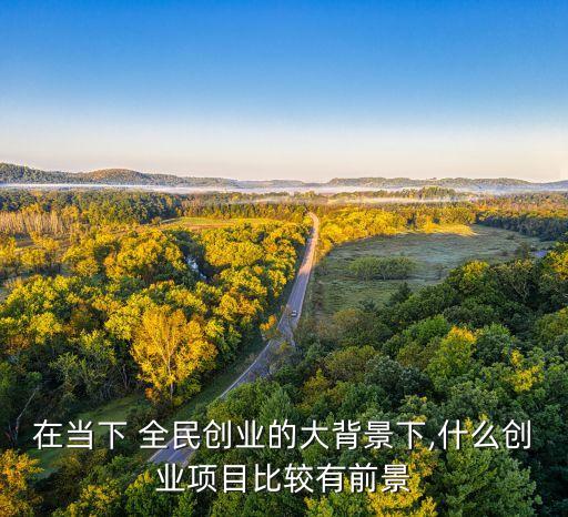 在當下 全民創(chuàng)業(yè)的大背景下,什么創(chuàng)業(yè)項目比較有前景