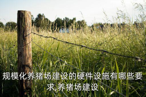 豬場(chǎng)自動(dòng)化供料成套設(shè)備,豬場(chǎng)自動(dòng)化料線有何優(yōu)勢(shì)?