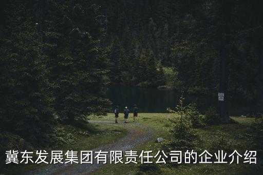 冀東發(fā)展集團(tuán)有限責(zé)任公司的企業(yè)介紹